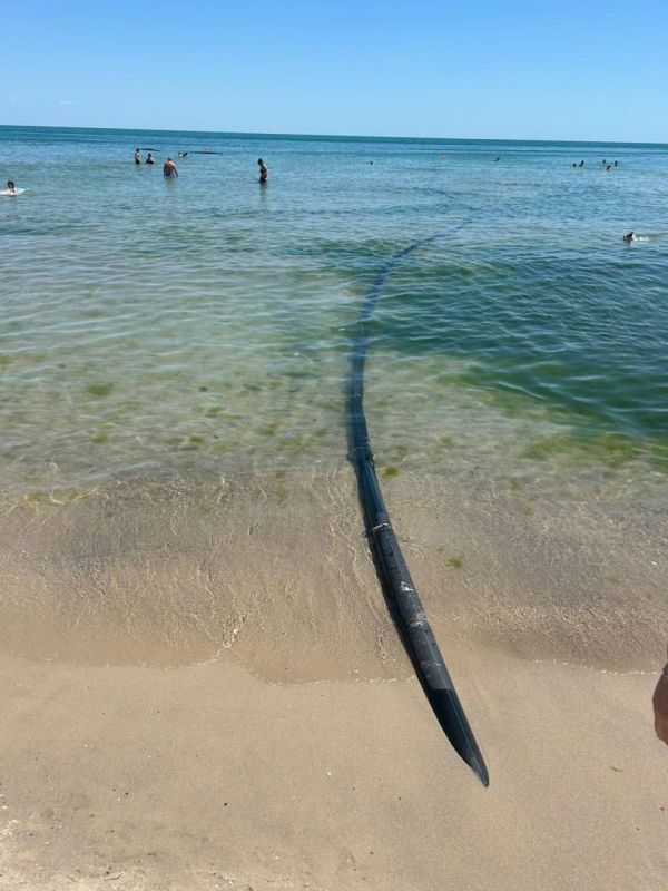 Воду в Аркадии проверили на ливневые стоки Воду в Аркадии проверили на ливневые стоки