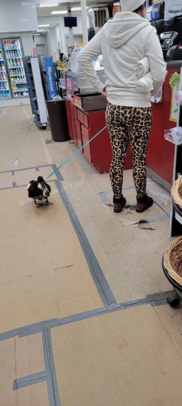 �������� ���� � ������ �� ������� ������������