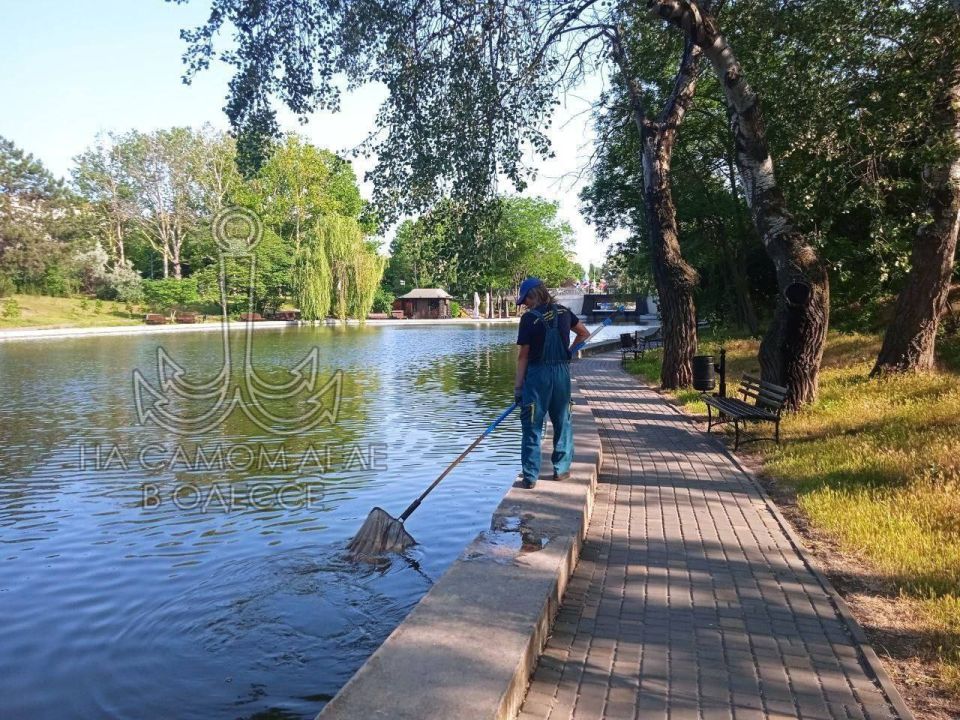 В дендропарке «Победа» – подвиг коммунальный! Берега прудов – целых 2 километра – таки привели в божеский вид В дендропарке «Победа» – подвиг коммунальный! Берега прудов – целых 2 километра – таки привели в божеский вид