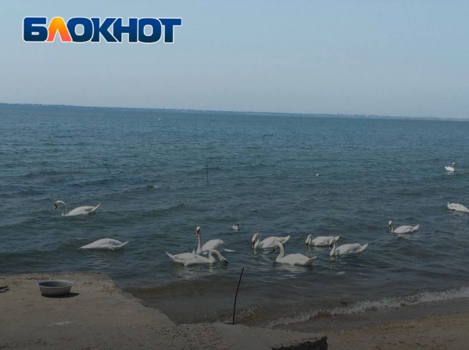 �� ������������ ������ ���������� ���������� ������