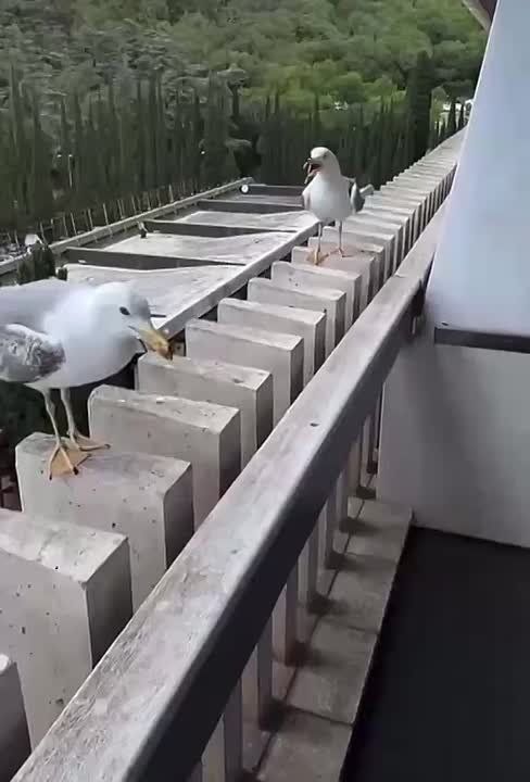    -!