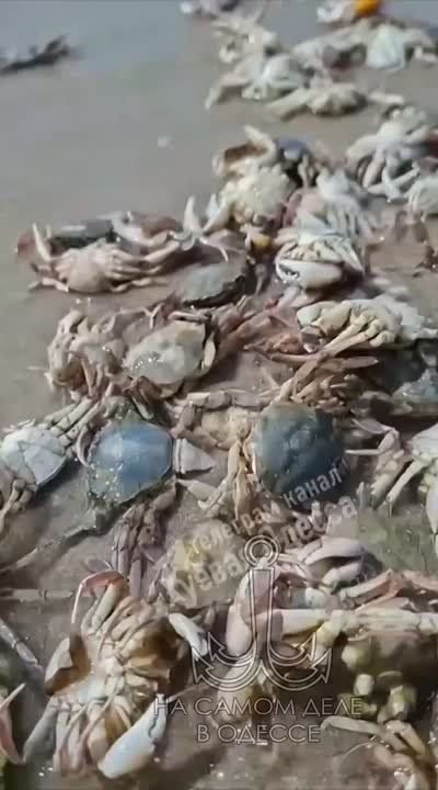      !         -     