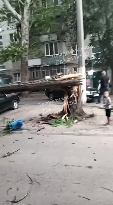   :     