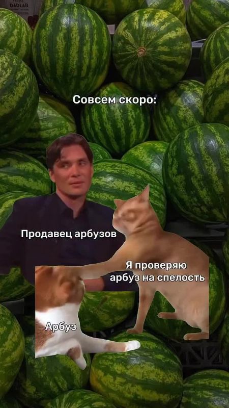  , !.       ,  ,           