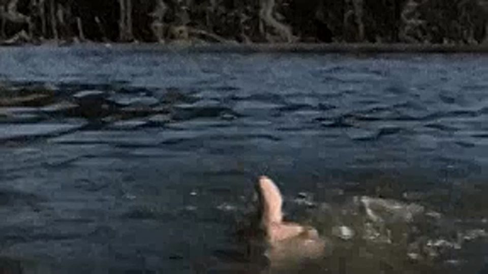     28-    