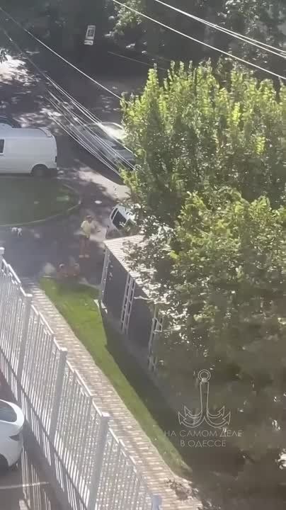    .,           !      
