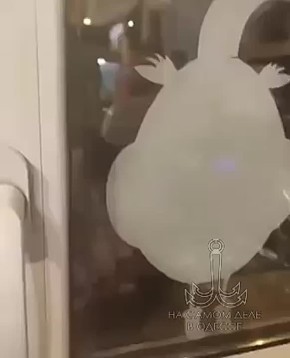      , 