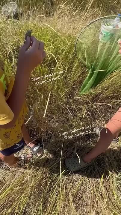  :    