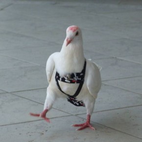 :     