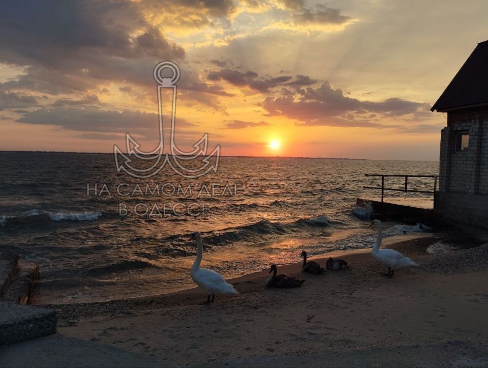 Одесса-мама мирных снов. — Софочка, я бы Вас с удовольствием обидела, да боюсь, что лучше, чем у природы, у меня всё равно не получится