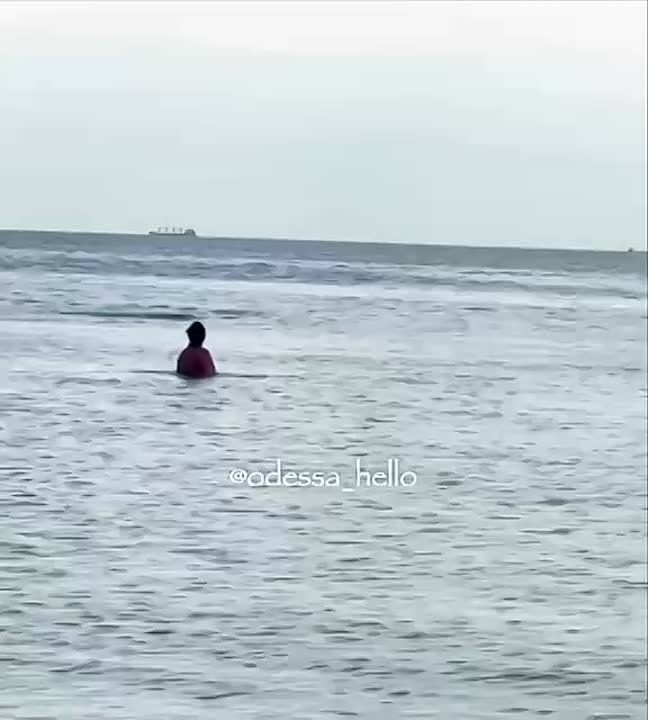 Одессу с дружеским визитом посетили дельфины