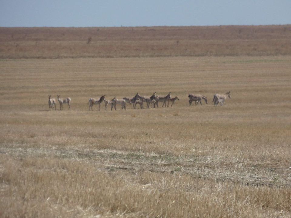 ������ ��������� ������� ��������� �� ���� � �������� �������