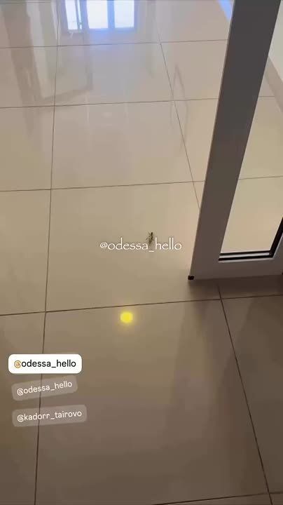 Огромная саранча поселилась в квартире в Кадорах