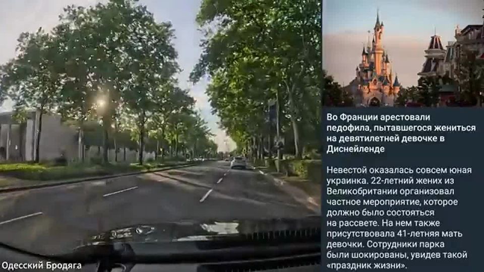 Блогер из Одессы: беженка из Украины продала 9-летнюю дочь педофилу в Диснейленде