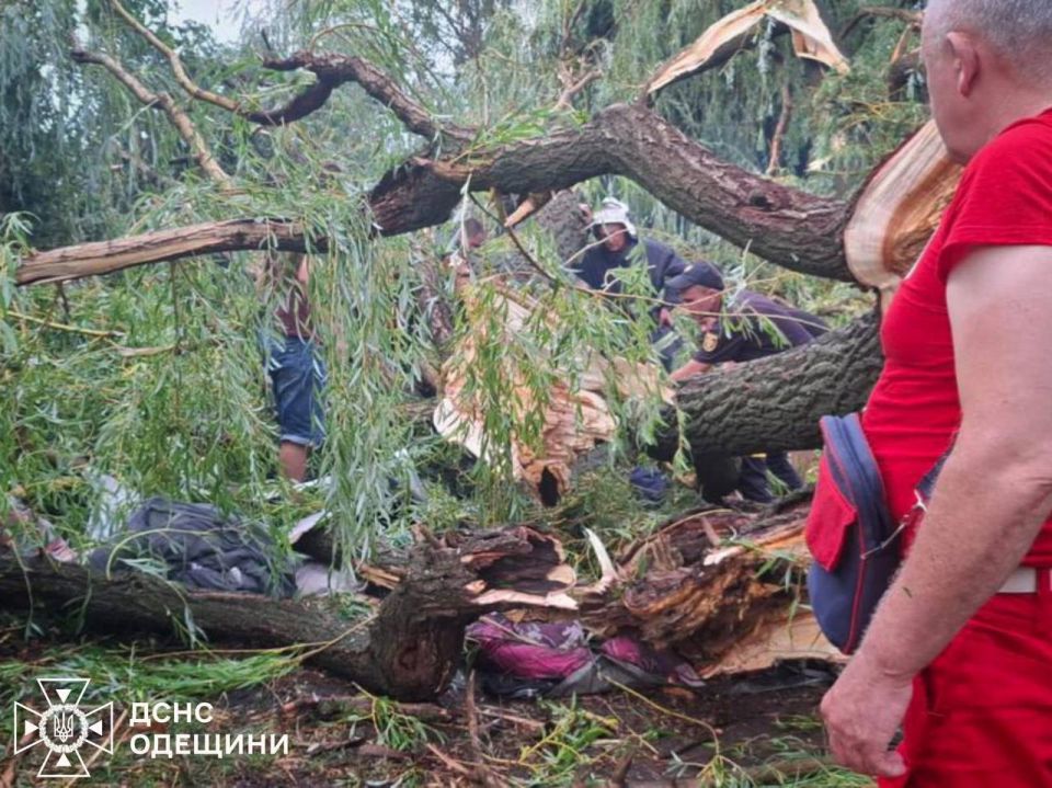 В Балте во время урагана погиб подросток, еще четверо детей травмированы