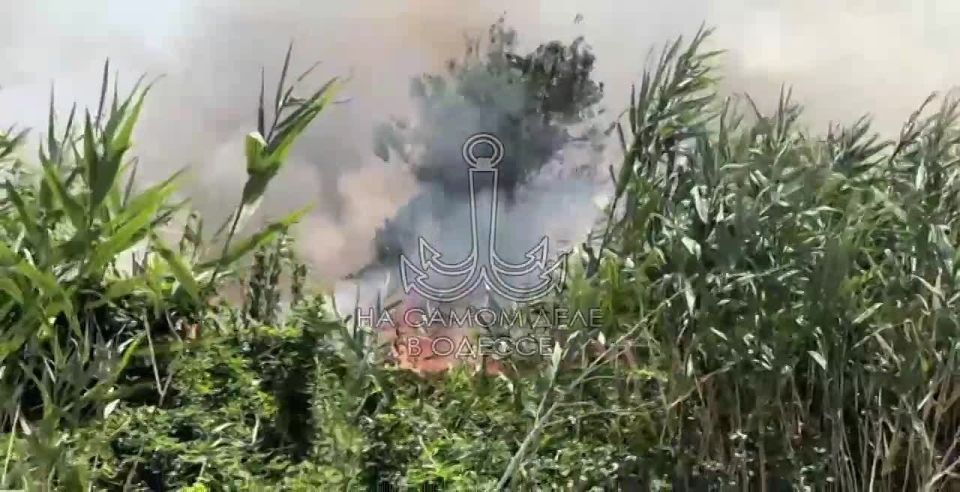 В Одессе произошел крупный пожар, охвативший 12 гектаров земли