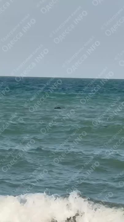 На побережье Одессы шторм: люди начали тонуть, пляжи закрываются