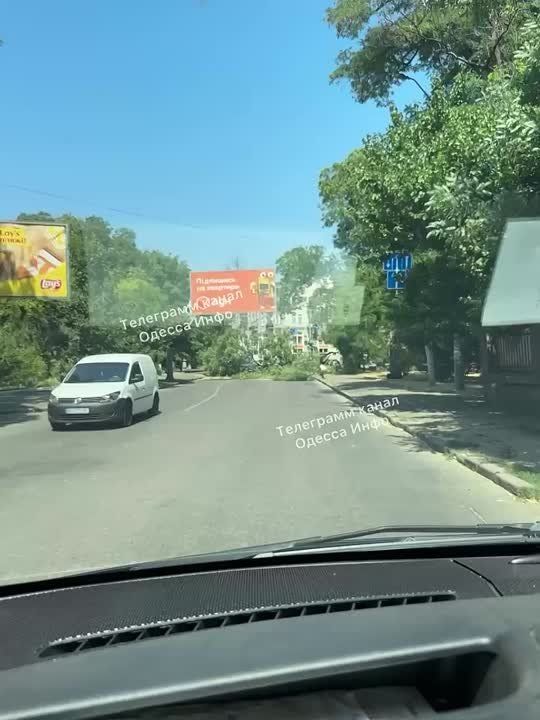 В Одессе дерево упало на машину и заблокировало проезд