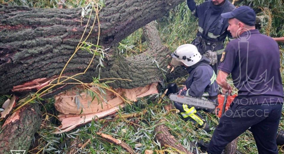 Вчера вечером произошла трагедия