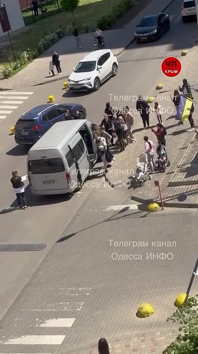 Дмитрий Стешин: Одесские бабы успешно отбивают новобранцев Зеленского