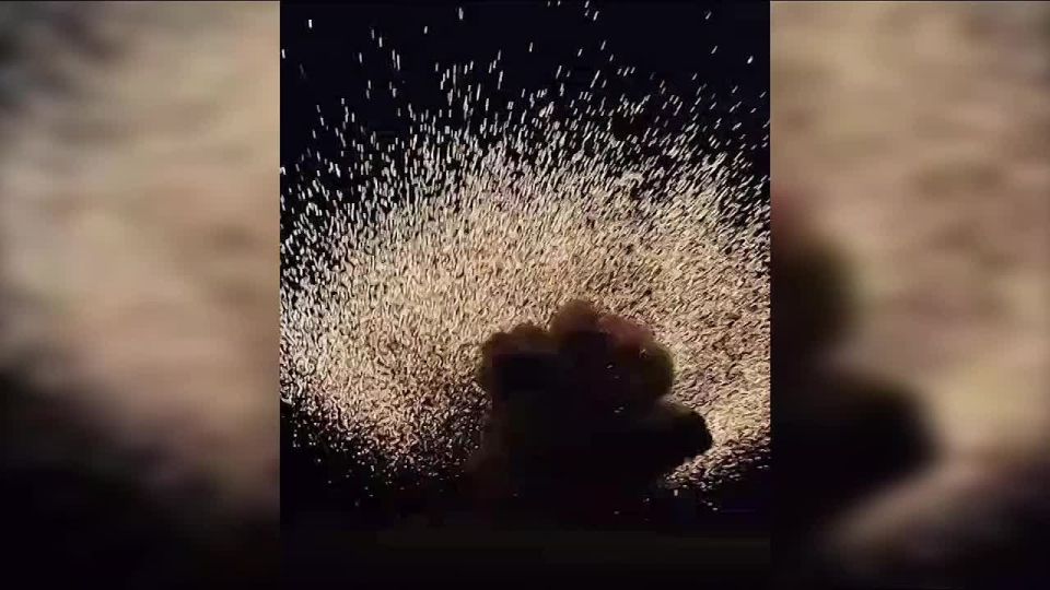 В Одессе на берегу взорвалась мина