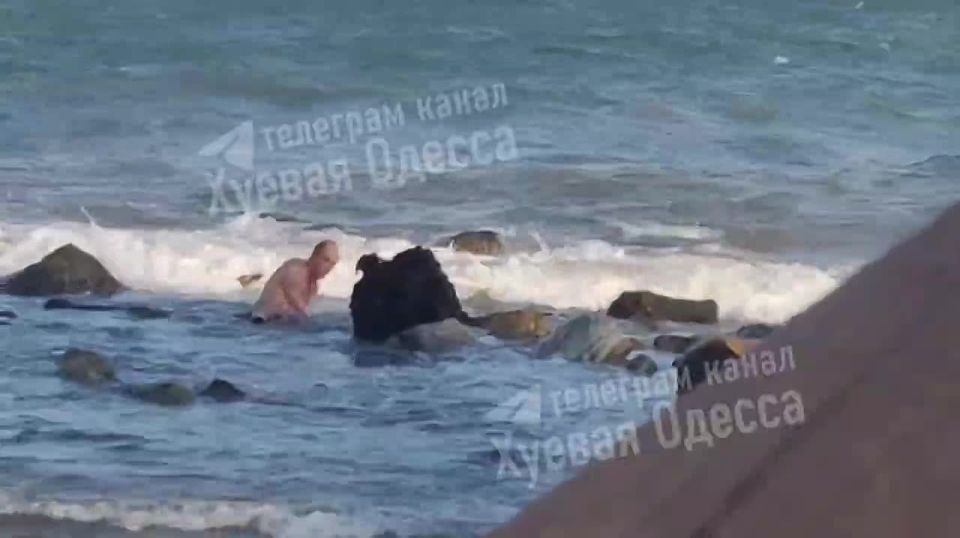 Армен Гаспарян: Из жизни беспробудных дебилов