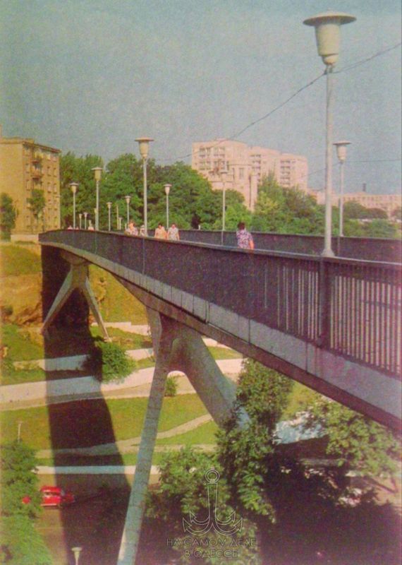  1978 ..  , - .      ,      48 ,       