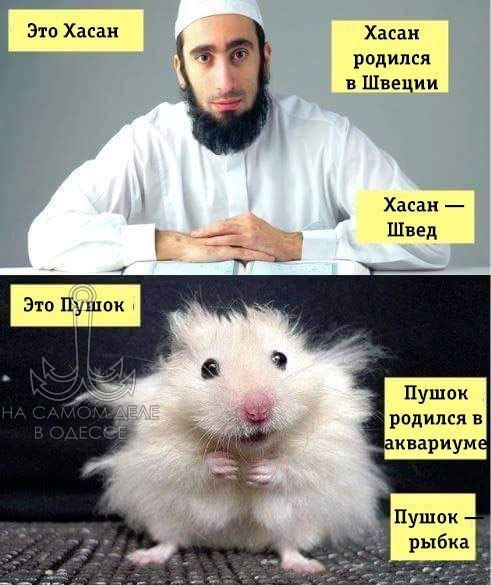 Коротко про украинскую национальность