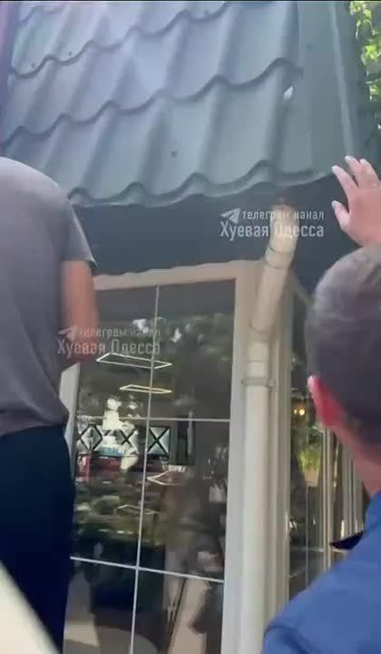 В Одессе спасли котенка. Автор видео зашла в магазин и услышала жалобный плач