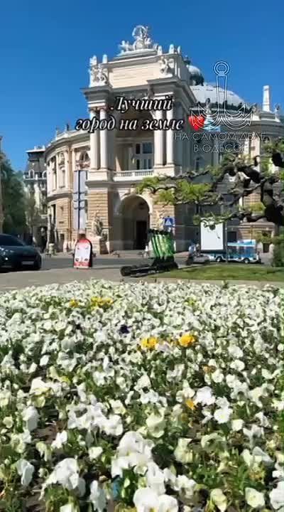 Одесса-мама мирных снов. — Повезло тебе, Розочка, с мужем! Работящий весь такой, молчаливый!