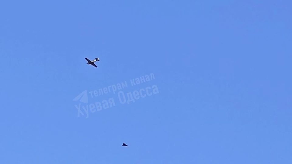 Украинский кукурузник в небе над Одессой ведет преследование российской «Герани»