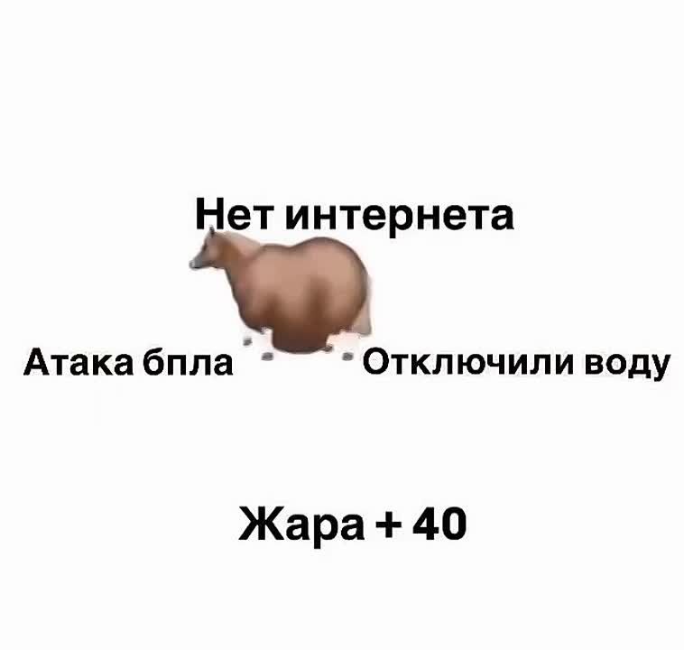 Летняя круговерть в Одессе