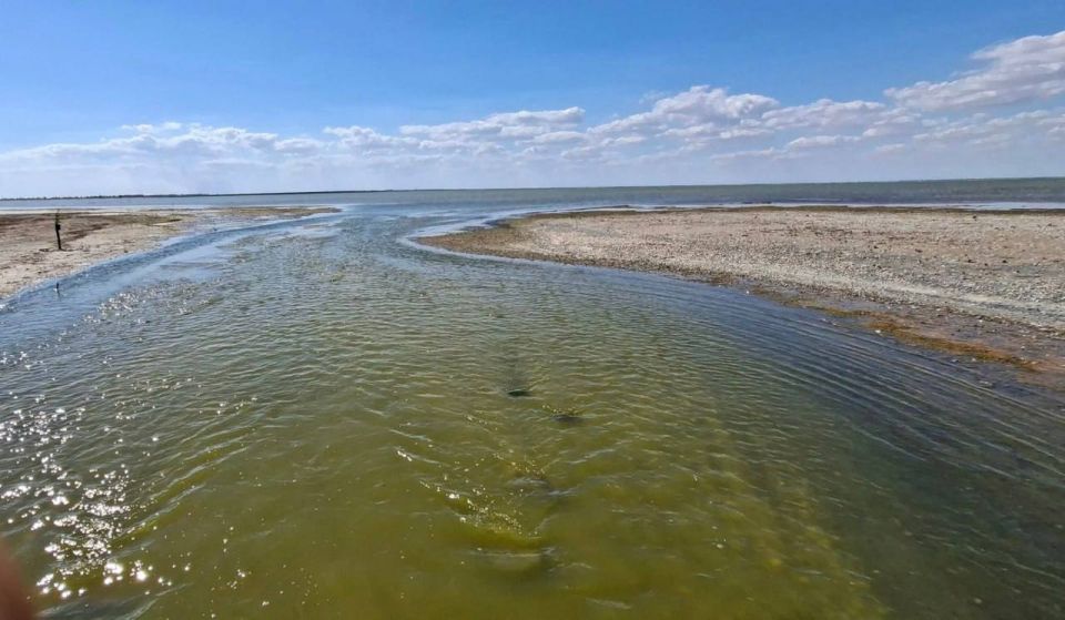 Пару дней назад жители Одесчины самостоятельно выкопали пролив между лиманами, а сейчас там уже поселились прекрасные птицы Пару дней назад жители Одесчины самостоятельно выкопали пролив между лиманами, а сейчас там уже поселились прекрасные птицы
