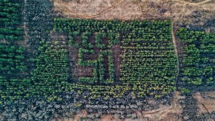 ����-��� ����� 50� ��� ������� ����� �����