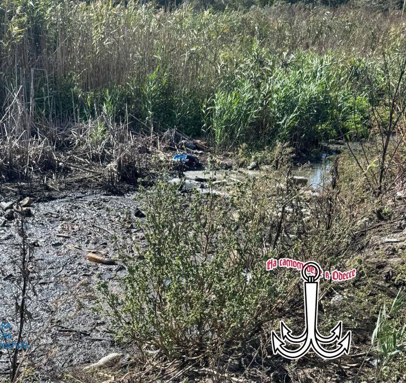 После нас, хоть потоп. Действия украинских чиновников и депутатов, которые совершенно не заботятся о том, что останется будущим поколениям, наводят лишь на две мысли: Они и их дети не собираются жить здесь в будущем;