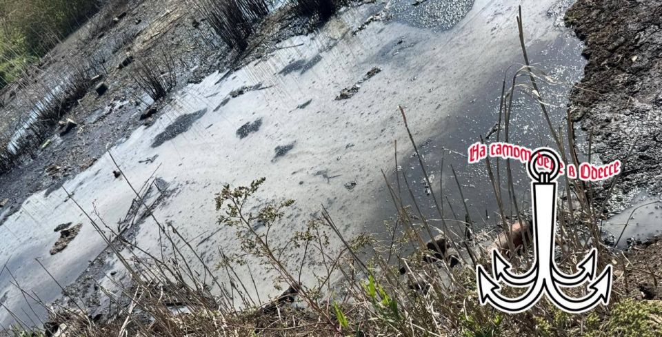  ,  .     ,      ,    ,     :          ;