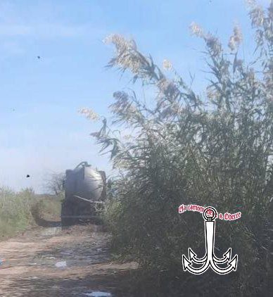  ,  .     ,      ,    ,     :          ;