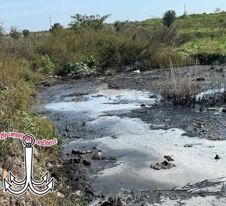  ,  .     ,      ,    ,     :          ;