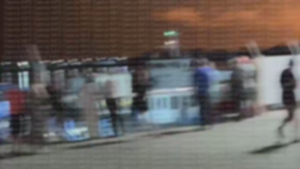 Ночью герани вынесли газораспределительную станцию (ветка ГИС Суджа - ГИС Ужгород, направление Украина-Румыния) «Орловка-1/2» возле села Орловка Измаильского района в одесской области