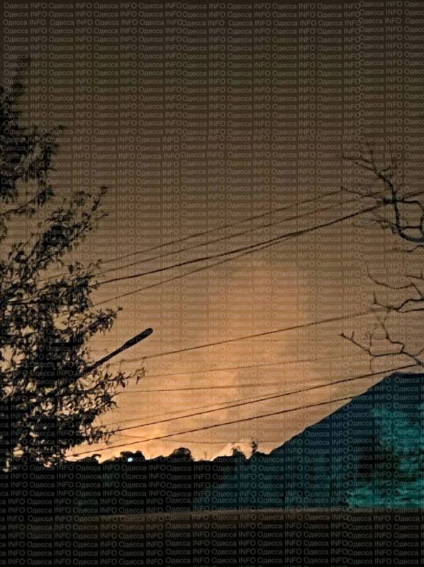  :         , ,   ,  &quot;&quot;   ,   -   