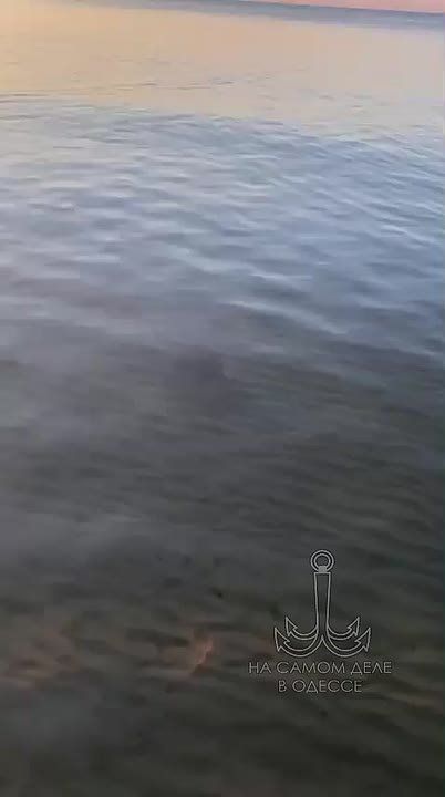 Ловите глазами видео с пляжей Одессы