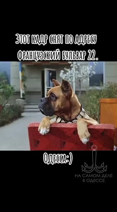 Таки да, Одесса-мама проснулась