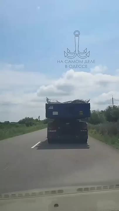 Западные границы Украины усиленно укрепляются