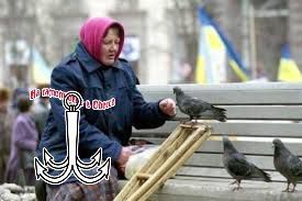 Каковы итоги правления Зеленского и его команды на текущий момент?