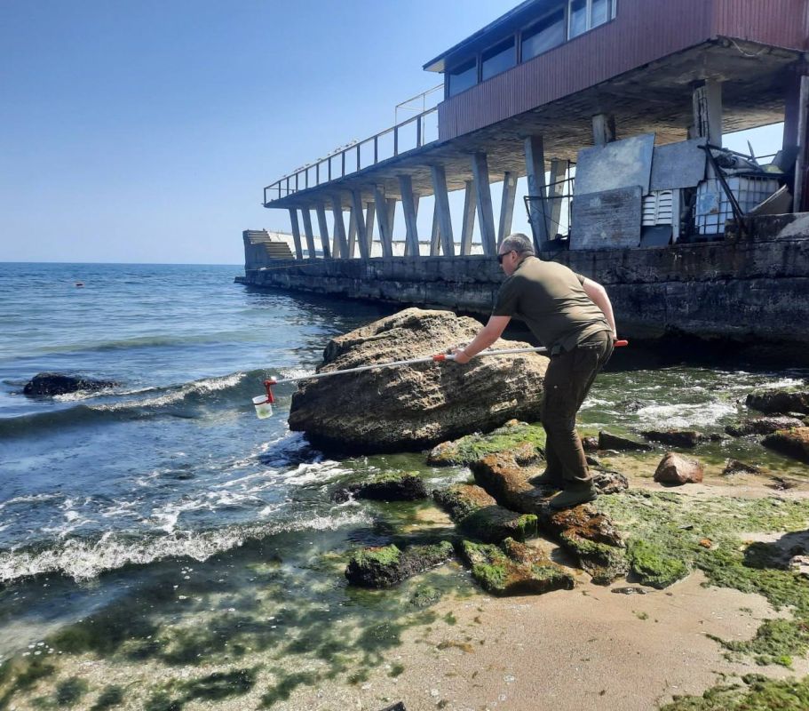 В Одессе экоинспекция проверяет безопасность воды в море из-за цветения водорослей