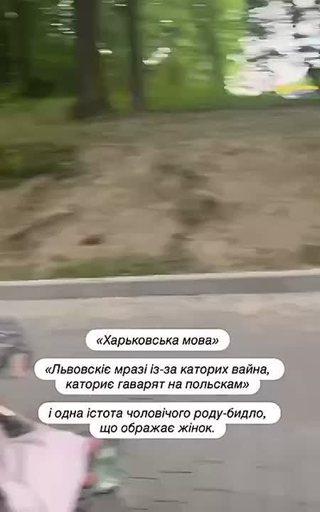 А знаете, в чём тут главная проблема? В том, что вот эти, на которых накинулась бандеровка, говорят на "харьковской мове"