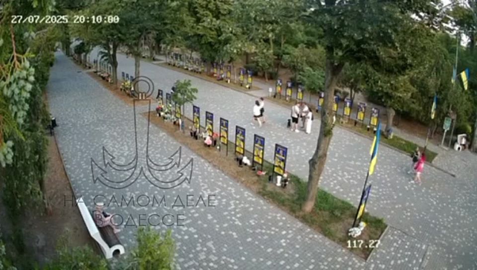 Свидомые патриоты в ярости: В парке Шевченко на аллее, где расположены стенды с именами погибших ВСУшников, выгуливают животных и не убирают за ними