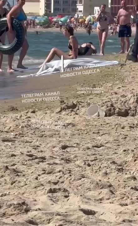 В Затоке вынесло на берег нижнюю часть человека