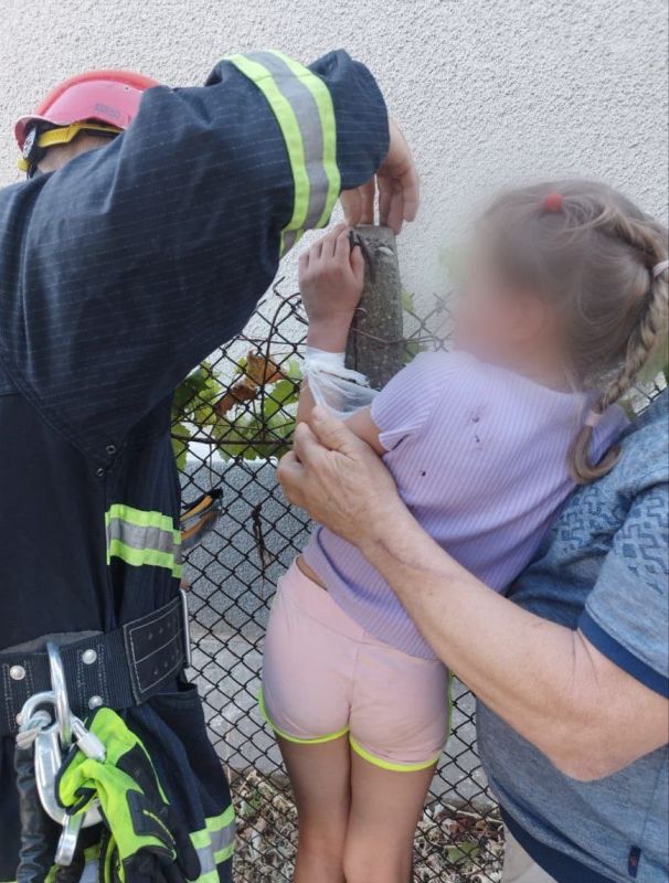 � �������� ������� 7-������ ������� ���������� �� ����� � ������