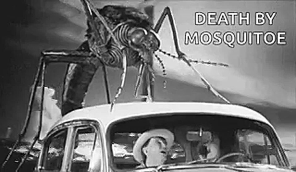 Новости солнечной Австралии Одессы